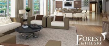 CHÍNH SÁCH ĐẦU TƯ FOREST IN THE SKY